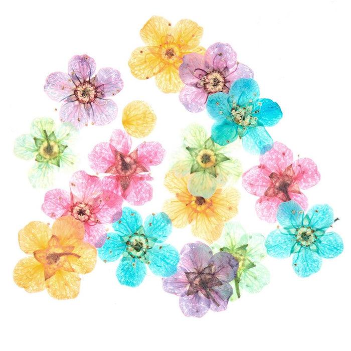 Rico - Filling Material Dried Flowers Colour Mix - 15 Pcs