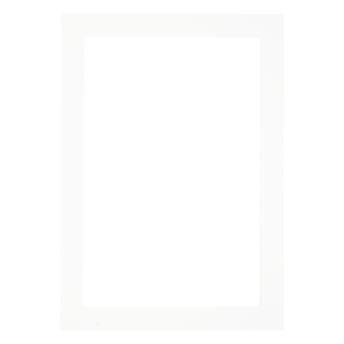 Mount to Fit - A1 Frame - White