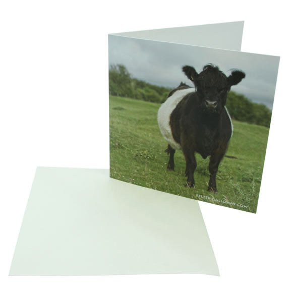 Sound Card - Belted Galloway Cow