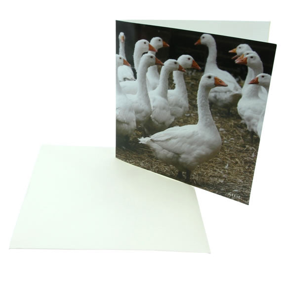 Sound Card - Geese