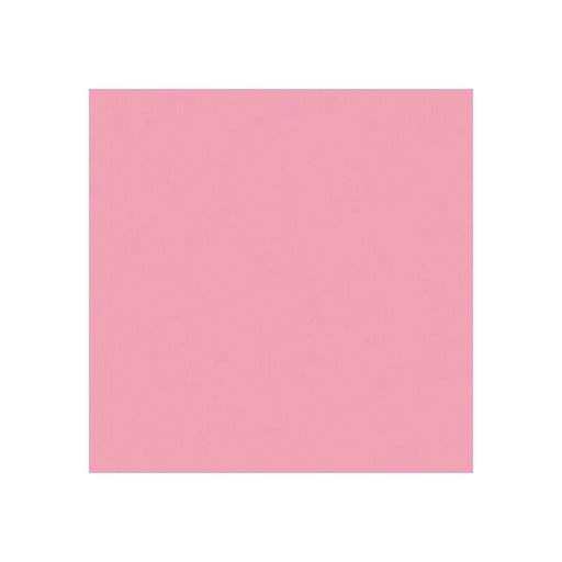 Efcolor Enamel Powder 10ml Light Pink