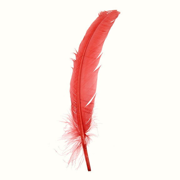 Quill Feathers 12 Pk