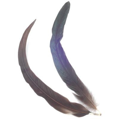 Cockerel Feathers - 12 Pk