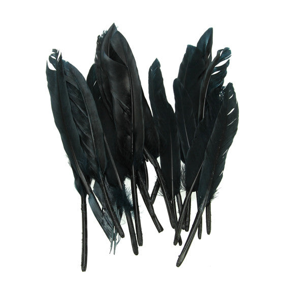 Small Quill Feathers
