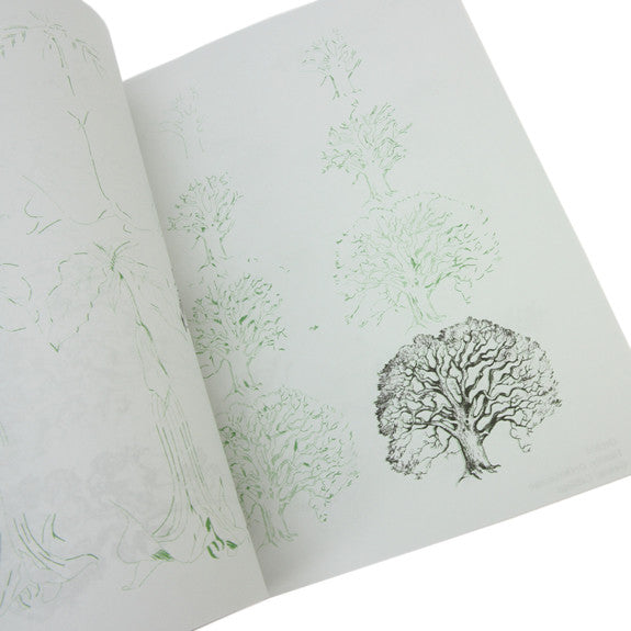 Draw 50 Flowers, Trees, and Other Plants by Lee J. Ames