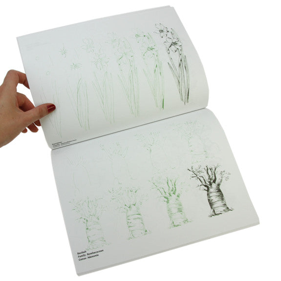 Draw 50 Flowers, Trees, and Other Plants by Lee J. Ames