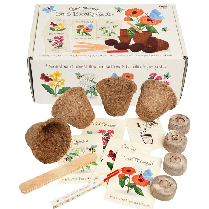 Bee and Butterfly Flower Growing Kit