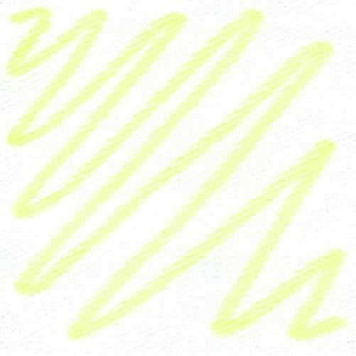 Setaskrib+ Markers Fluorescent