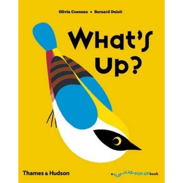 Whats Up? (A Flip Flap Pop Up Book)