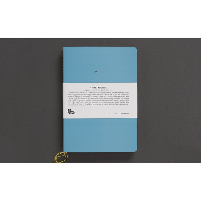 School of Thought Notebooks: The Pessimists