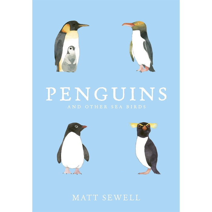 Penguins And Other Sea Birds