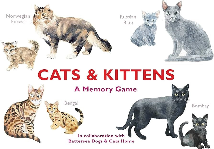 Cats & Kittens A Memory Game