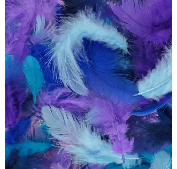 Mixed Coloured Feathers 10G