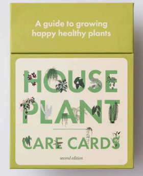 House Plant Care Cards - Edition 2