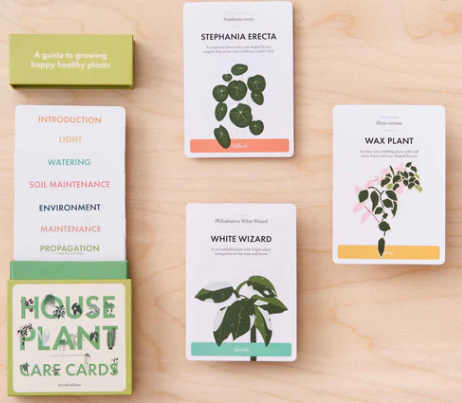 House Plant Care Cards - Edition 2
