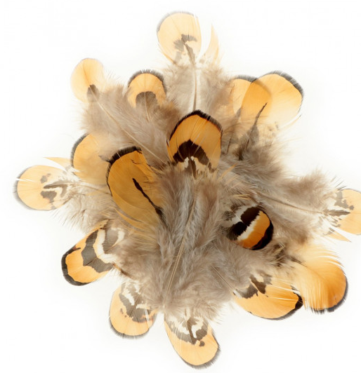Artemio Feathers Brown/Light Brown 10Pk