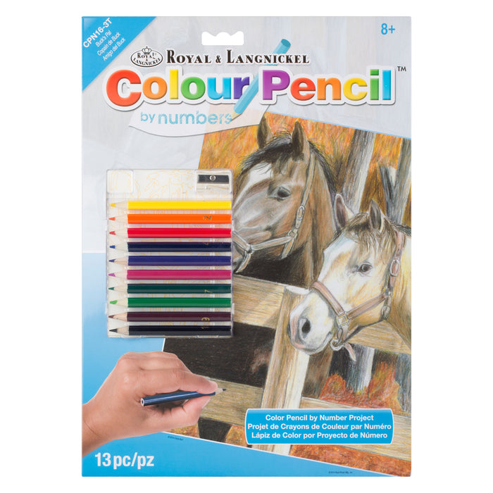 Colour Pencil By Numbers - Buck's Pal