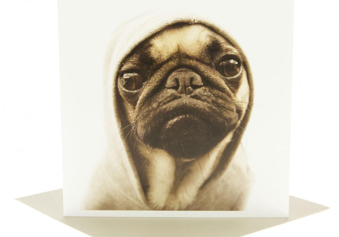 Our top 10 gifts for people who love dogs!