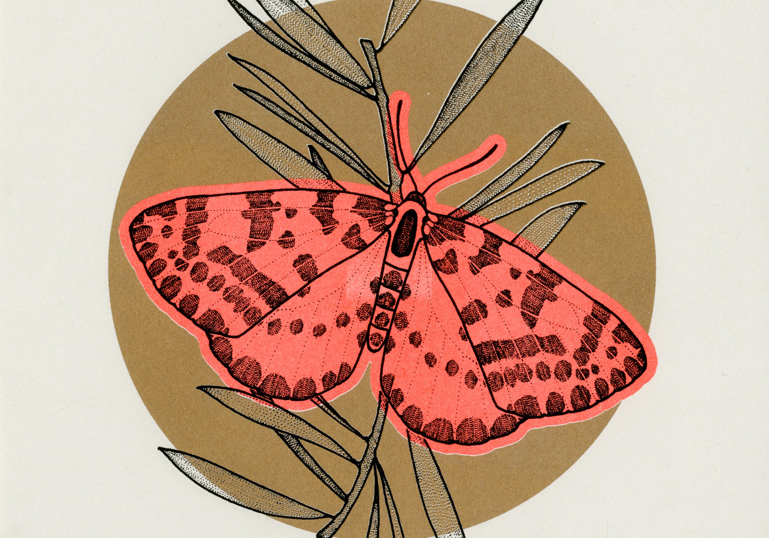 FA Studios Riso Gallery - Aimee Mac