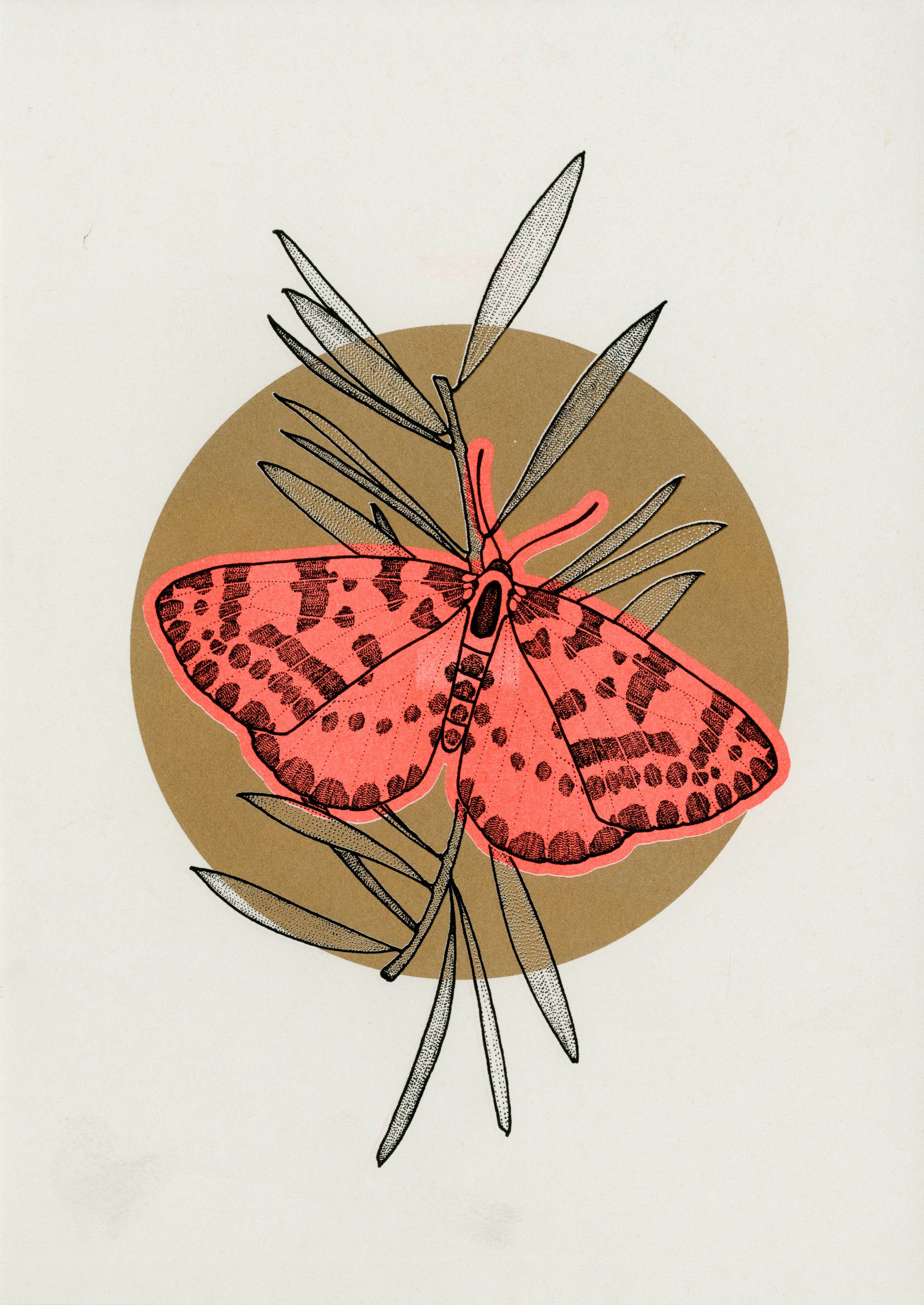 FA Studios Riso Gallery - Aimee Mac