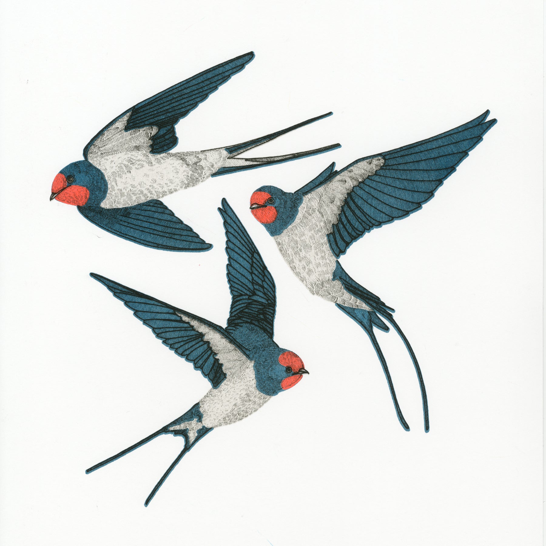 FA Studios Riso Gallery - Aimee Mac