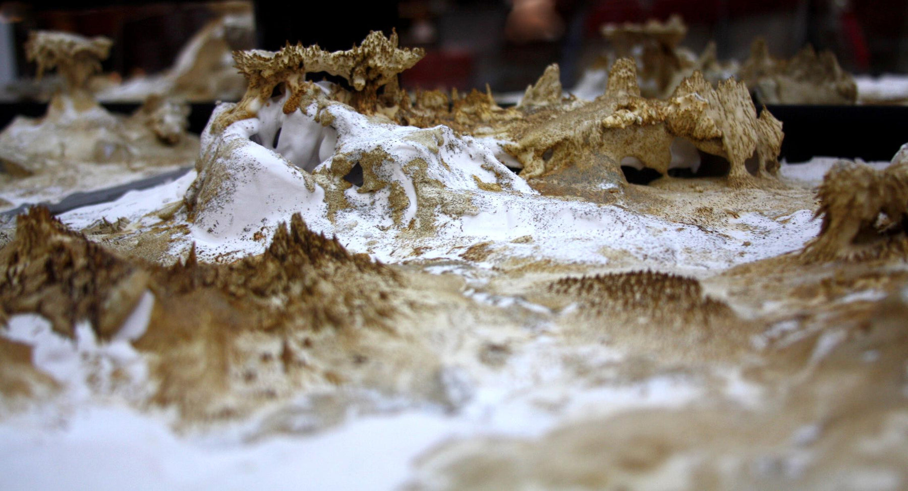 Meet a Maker: Helen Wheeler