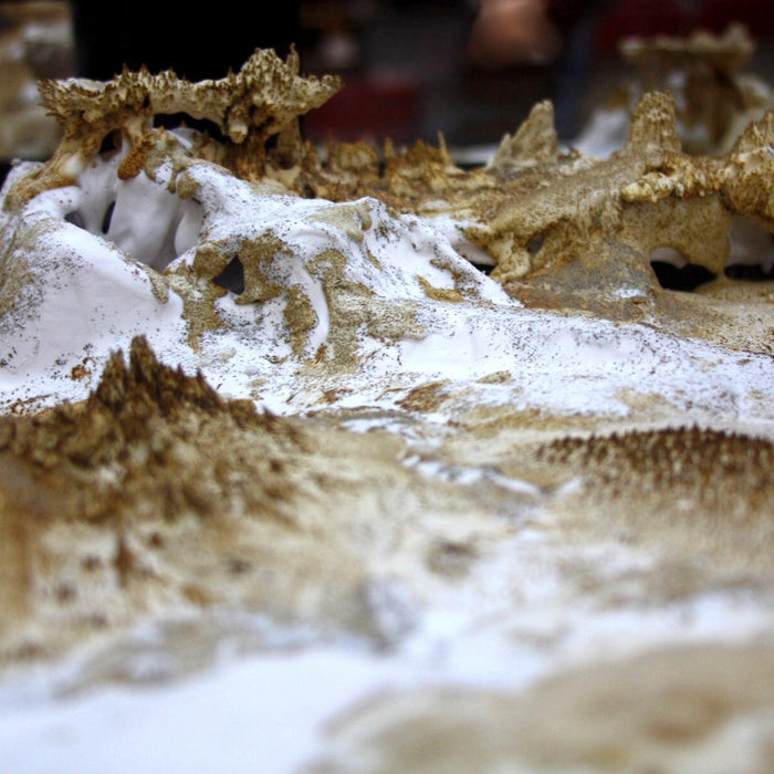 Meet a Maker: Helen Wheeler