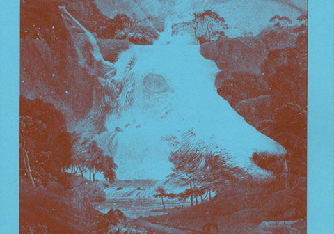 Fred Aldous Riso Gallery - Lewis McLean