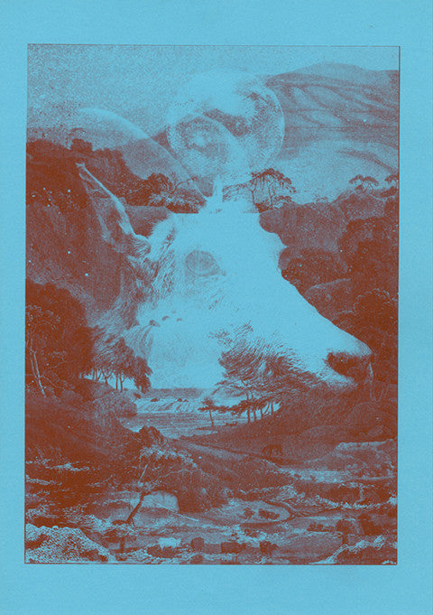 Fred Aldous Riso Gallery - Lewis McLean