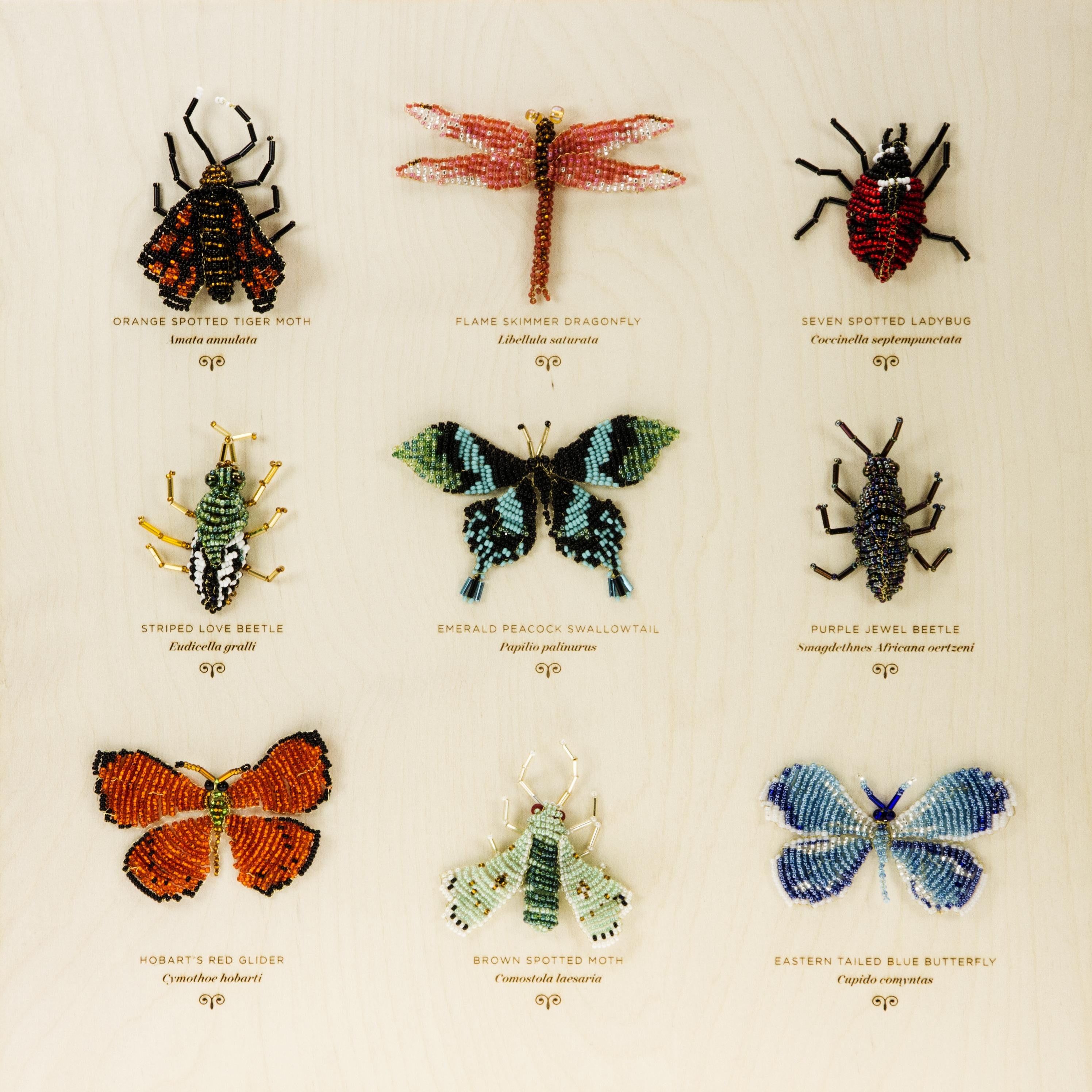 Sue's Beaded Bugs