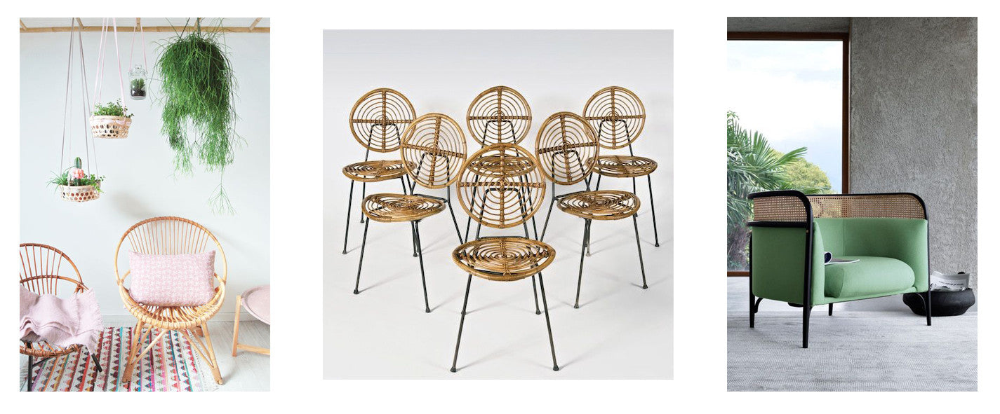 Cane and Rattan - A Timeless Interiors Trend
