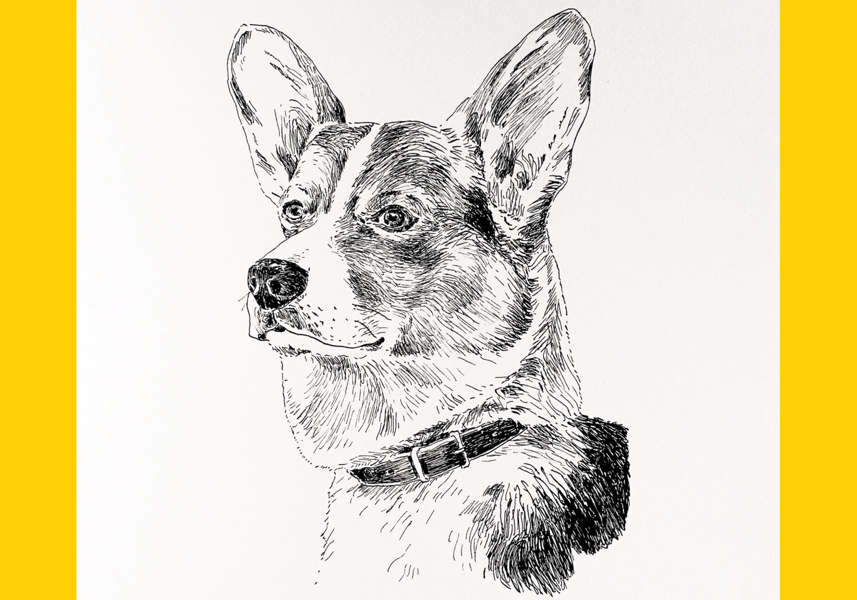 Morus Monthly: Drawing Dogs with Tom Bingham
