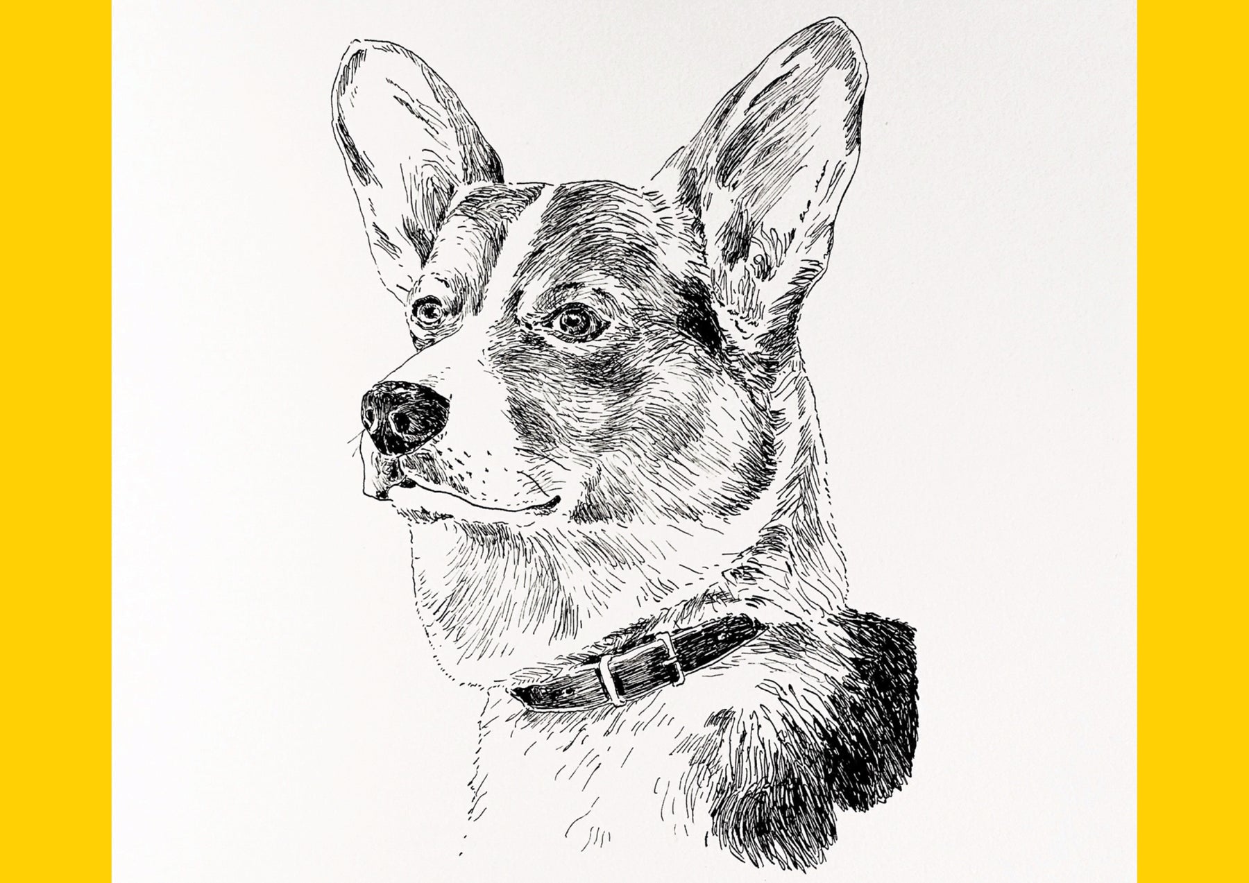 Morus Monthly: Drawing Dogs with Tom Bingham