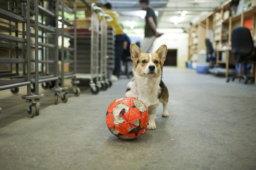 Morus with football