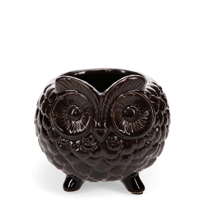 Owl Plant Pot