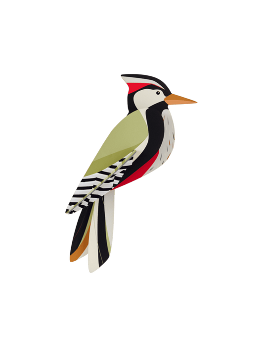 Studio Roof: Wall Art Woodpecker