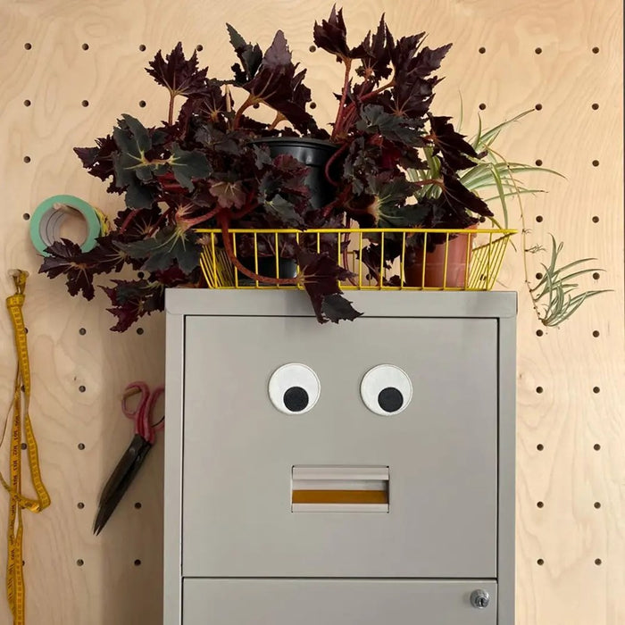 Magnets - Giant Eyeballs