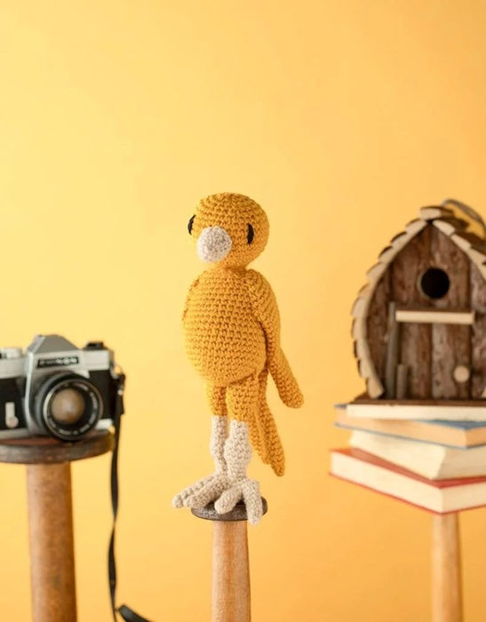 Ernest the Canary Kit