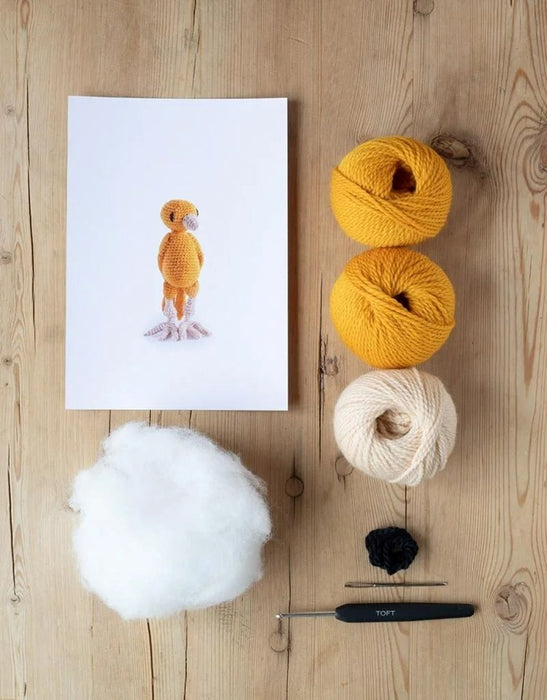 Ernest the Canary Kit