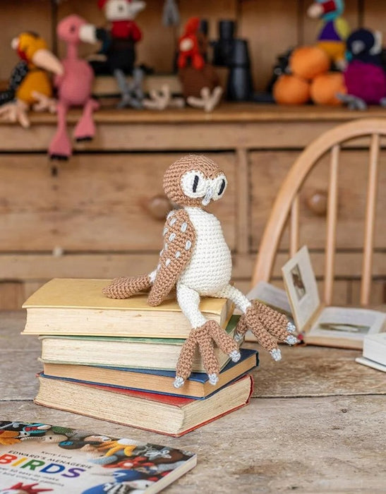 Barney the Barn Owl Kit