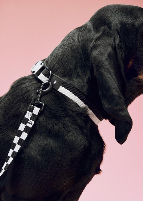 Dog Leash Flat - White/Black