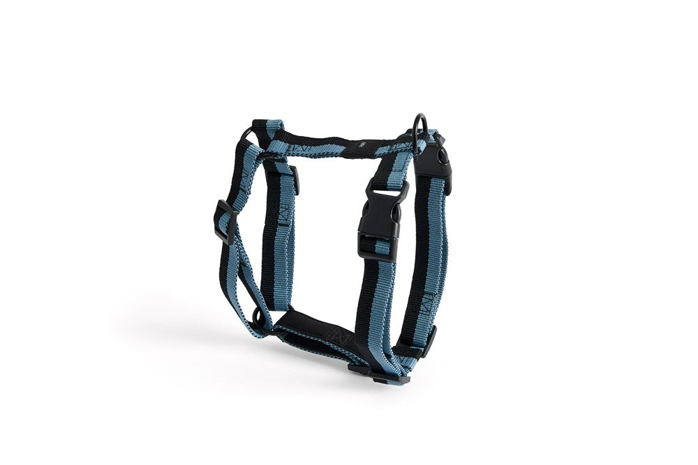 Dogs Harness - Blue/Black