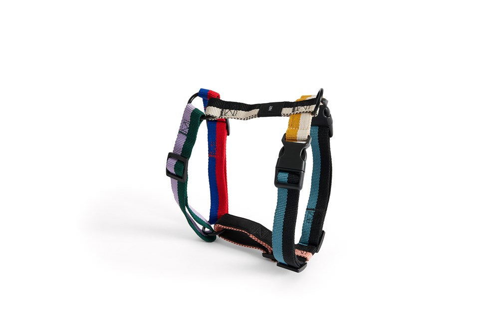 Dog Harness - Multicolour