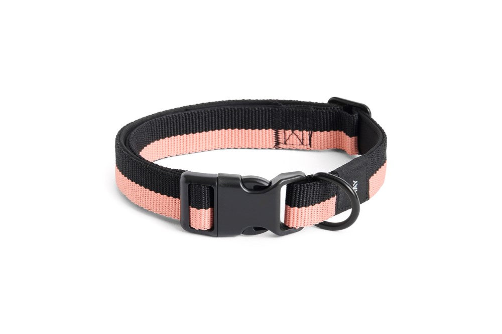 Dog Collar - M/L
