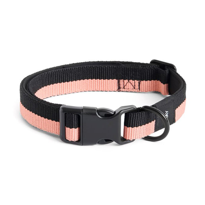 Dog Collar - M/L