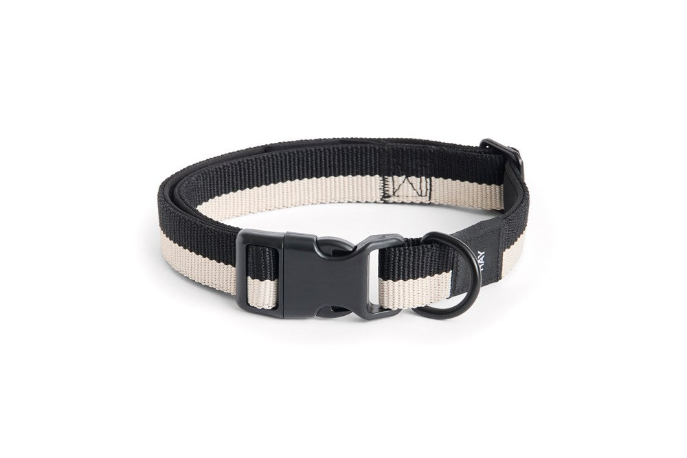 Dog Collar - M/L