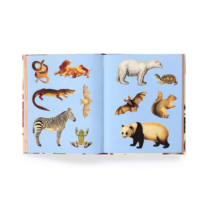 Extraordinary Things Sticker Book