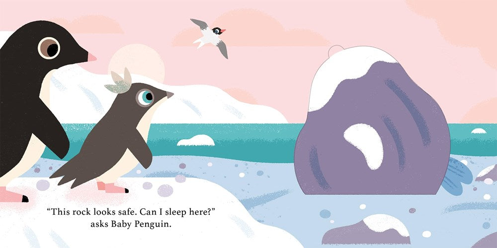 Can I Sleep Here? Baby Penguin