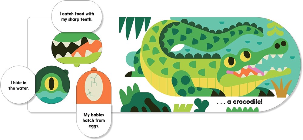 Guess Who? In the Jungle