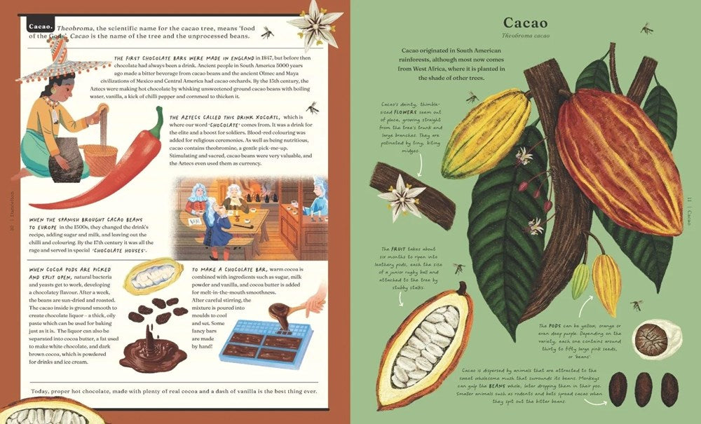 The Stuff that Stuff is Made of